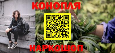 гидра Свободный