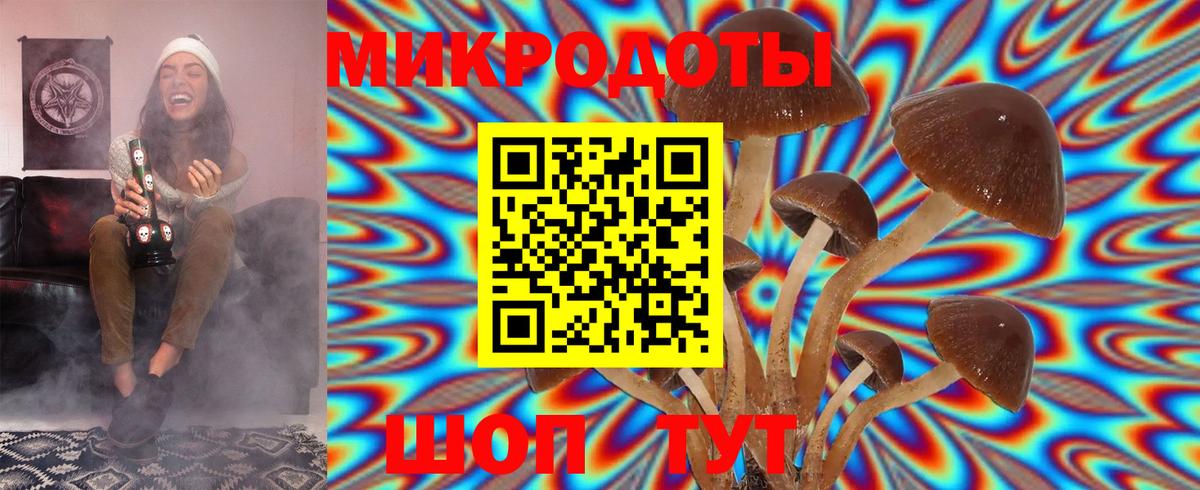 Галлюциногенные грибы GOLDEN TEACHER Октябрьский
