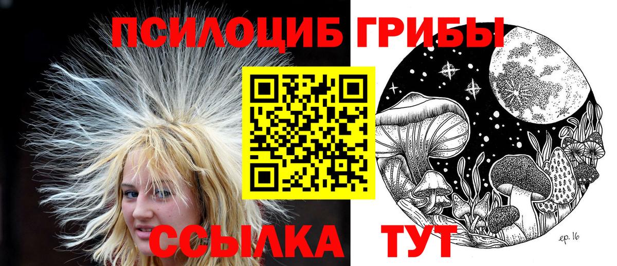 Псилоцибиновые грибы прущие грибы  Псилоцибиновые грибы GOLDEN TEACHER  Вход с VPN  Октябрьский 